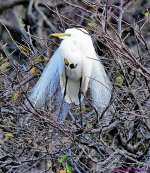DSC_7897_001.JPG