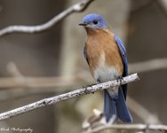 RD5_8925-Edit.jpg