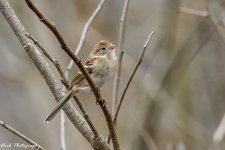 RD5_9049-Edit.jpg