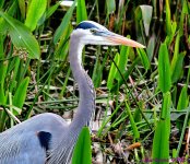 DSC_8020_001.JPG