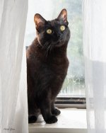 Nessarose-275.jpg