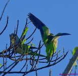 DSC_8183_001.JPG