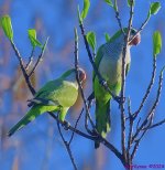 DSC_8186_001.JPG