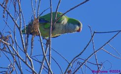 DSC_8191_001.JPG