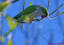 DSC_8236_001.JPG
