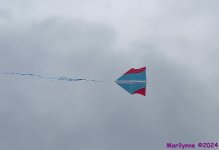 DSC_8293_001.JPG
