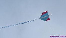 DSC_8295_001.JPG