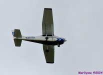 DSC_8301_001.JPG