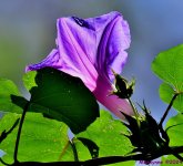 DSC_8405_001.JPG