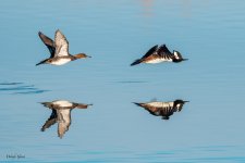 HoodyPairFlight-276.jpg