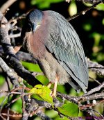 DSC_8782_001.JPG