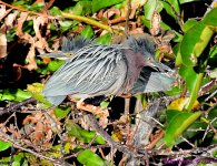 DSC_8809_001.JPG