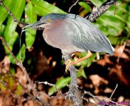 DSC_8814_001.JPG