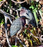 DSC_8840_001.JPG