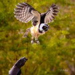 _DAB8289-topaz-denoiseraw-sharpen.jpg
