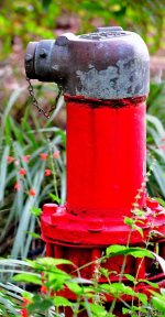 DSC_9007_stitch_001.JPG