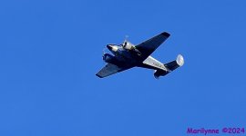 DSC_9165_001.JPG