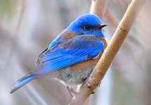 ROY_3819_01.JPG