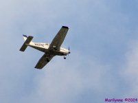 DSC_1949_001.JPG