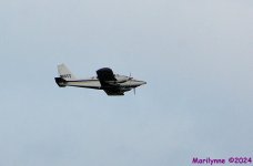DSC_1952_001.JPG