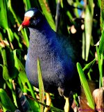 DSC_9319_001.JPG