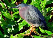 DSC_9409_001.JPG