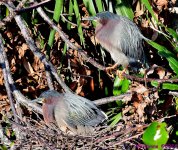 DSC_9567_001.JPG