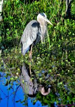 DSC_9610_stitch3_001.JPG