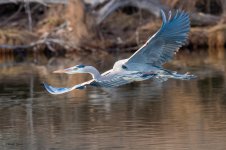 GBHFlight-282.jpg