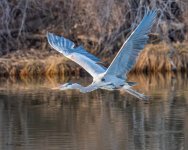 GBHFlight-285.jpg