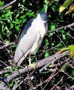 DSC_9969_001.JPG