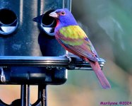 DSC_0007_001.JPG