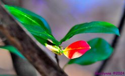 DSC_0070_001.JPG