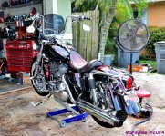 DSC_2119_001.JPG