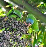 DSC_0813_001.JPG