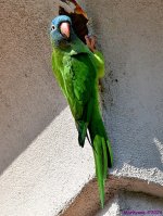 DSC_0872_001.JPG