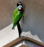 DSC_0882_001.JPG