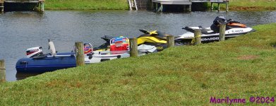 DSC_2170_001.JPG