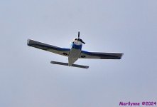 DSC_2224_001.JPG