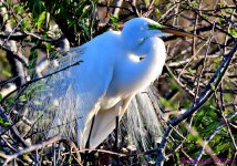 DSC_1084_001.JPG