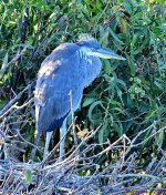 DSC_1141_001.JPG