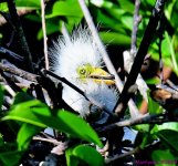 DSC_1247_001.JPG