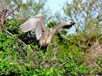 DSC_1357_001.JPG
