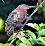 DSC_1569_001.JPG