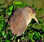 DSC_1573_001.JPG