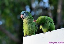 DSC_1635_001.JPG