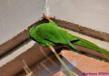 DSC_1639_001.JPG