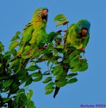 DSC_1664_001.JPG