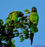 DSC_1668_001.JPG