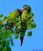 DSC_1715_001.JPG
